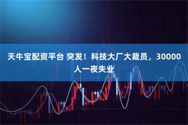 天牛宝配资平台 突发！科技大厂大裁员，30000人一夜失业